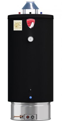 Водонагреватель Federica Bugatti INOX WH80 напольный накопительный газовый